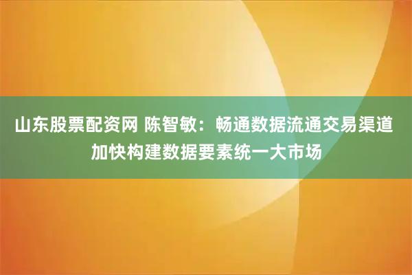 山东股票配资网 陈智敏：畅通数据流通交易渠道 加快构建数据要素统一大市场