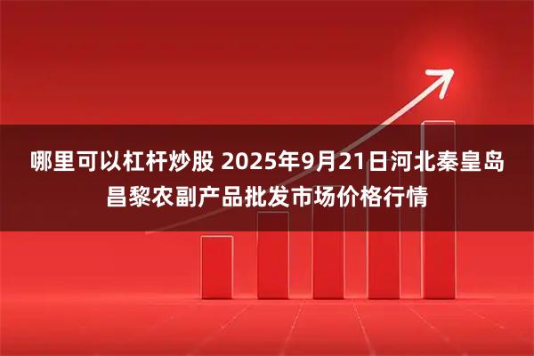 哪里可以杠杆炒股 2025年9月21日河北秦皇岛昌黎农副产品批发市场价格行情