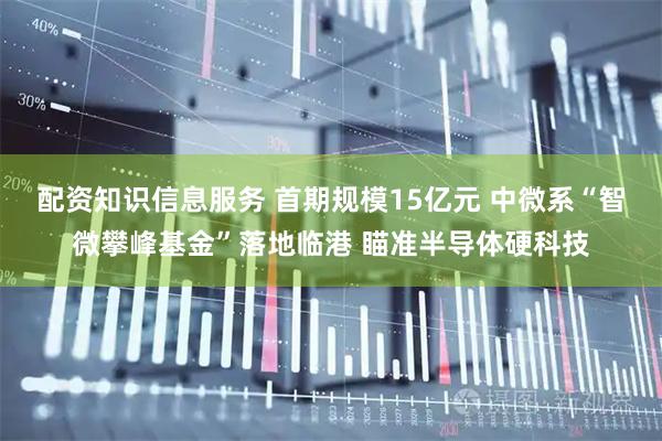 配资知识信息服务 首期规模15亿元 中微系“智微攀峰基金”落地临港 瞄准半导体硬科技